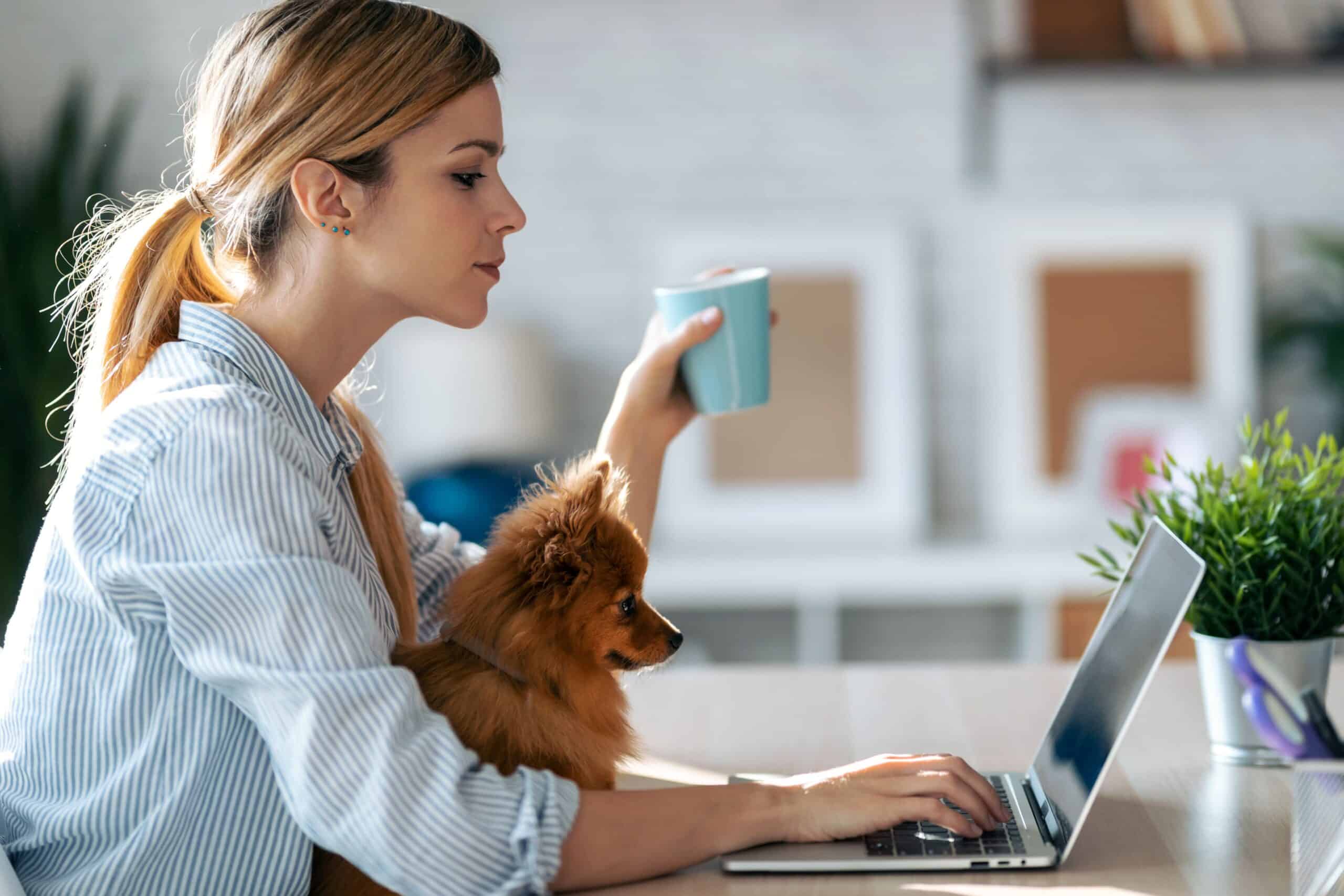Le télétravail au service de la rétention des talents